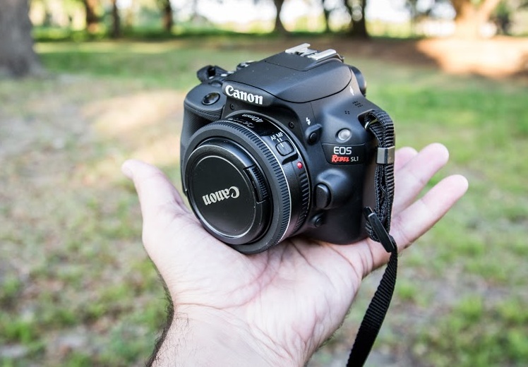 Объективы 40mm. Canon Lens 40mm. Canon 40mm 2.8 STM. Canon EF 40mm f/2.8. Canon EF-S 24mm f/2.8 STM.